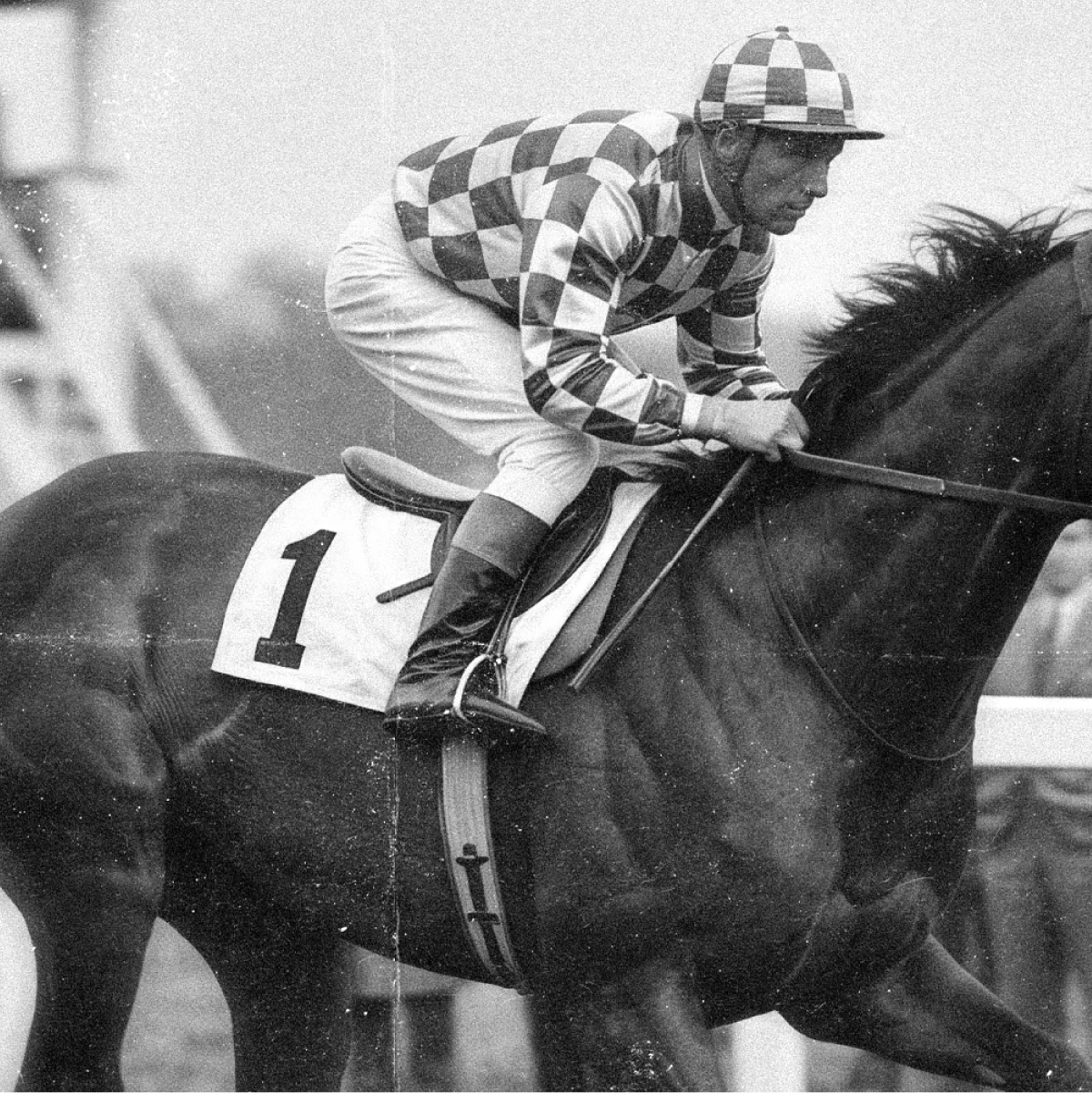 Jockey on a horse wearing race number 1